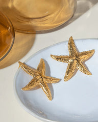 5dc91764-f712-4a20-924b-d453028a5d37-Max-Origin